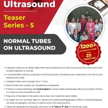 ultrasound-series5